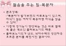 파이토케미컬 25페이지