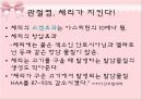 파이토케미컬 26페이지