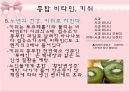 파이토케미컬 34페이지