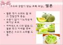 파이토케미컬 36페이지