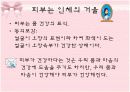 수면과 피부 4페이지