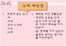 수면과 피부 14페이지
