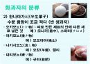 일본문화조사 - 화과자 8페이지