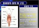 방광암 bladder cancer 4페이지