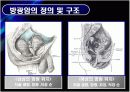 방광암 bladder cancer 5페이지