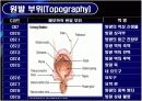 방광암 bladder cancer 6페이지