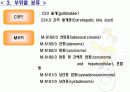 담낭암의 원인과 부위별 분류 및 증상과 진단 치료 5페이지