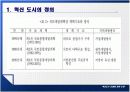 혁신도시 건설에 관한 연구 3페이지
