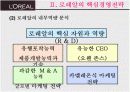 로레알 기업분석 13페이지