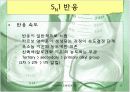 알코올에서 할로겐화 알칸으로의 전환 8페이지