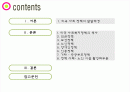 미국의 사회복지정책 2페이지