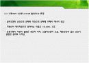 에너지 대사의 적응과 운동시 연료의 이용PPT 19페이지
