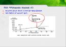 에너지 대사의 적응과 운동시 연료의 이용PPT 23페이지