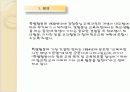 교육과정의 통합적 조망PPT 15페이지