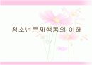 청소년 문제행동  4페이지