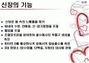 신장장에 ppt 5페이지