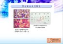 LeukemIa 백혈병 22페이지