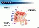 ProstateCancer 전립선암 3페이지