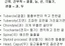 세포와 핵산 20페이지