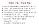 세포와 핵산 21페이지