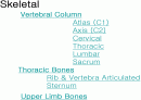 근골격계 (Skeletal system) 1페이지