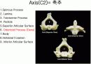 근골격계 (Skeletal system) 6페이지