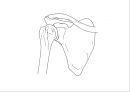 근골격계 (Skeletal system) 21페이지
