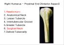 근골격계 (Skeletal system) 22페이지