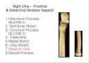 근골격계 (Skeletal system) 25페이지