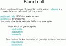 Circulatory system 순환기계  4페이지