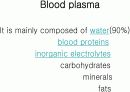 Circulatory system 순환기계  6페이지