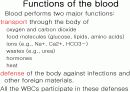 Circulatory system 순환기계  7페이지