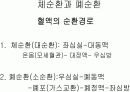 Circulatory system 순환기계  13페이지