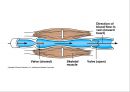 Circulatory system 순환기계  23페이지