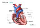 Circulatory system 순환기계  26페이지