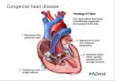 Circulatory system 순환기계  27페이지