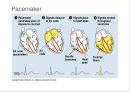Circulatory system 순환기계  28페이지