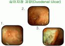 호흡기계와 소화기계(위, 소장, 대장 등) 14페이지