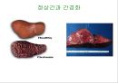 호흡기계와 소화기계(위, 소장, 대장 등) 22페이지
