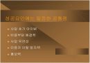 다음 야후 성공사례 10페이지