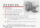중세 유럽의 과학 3페이지