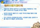 르네상스와 과학혁명 5페이지