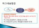 마그네슘의 기본특성 마그네슘소재의 중요성 합금 12페이지