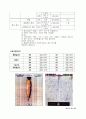 광고 매체 연구 분석(매체별 단가, 특징, 장단점, 역사 총망라 50여 페이지 ) 13페이지