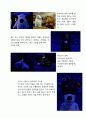 스토리텔링의 이해 '뽀롱뽀롱 뽀로로'의 스토리텔링 분석  8페이지