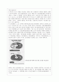 사회복지법제-의료보험의 민영화  5페이지