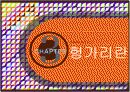 삼성의 헝가리 진출 15페이지