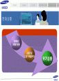 삼성의 헝가리 진출 40페이지