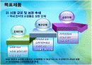 의류사업계획 5페이지