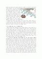 중국의 경제 전망 = 과연 중국은 미국과 비견할 만한 경제 강국으로 거듭날 것인가 3페이지